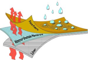 How many layers of waterproofing do you need?